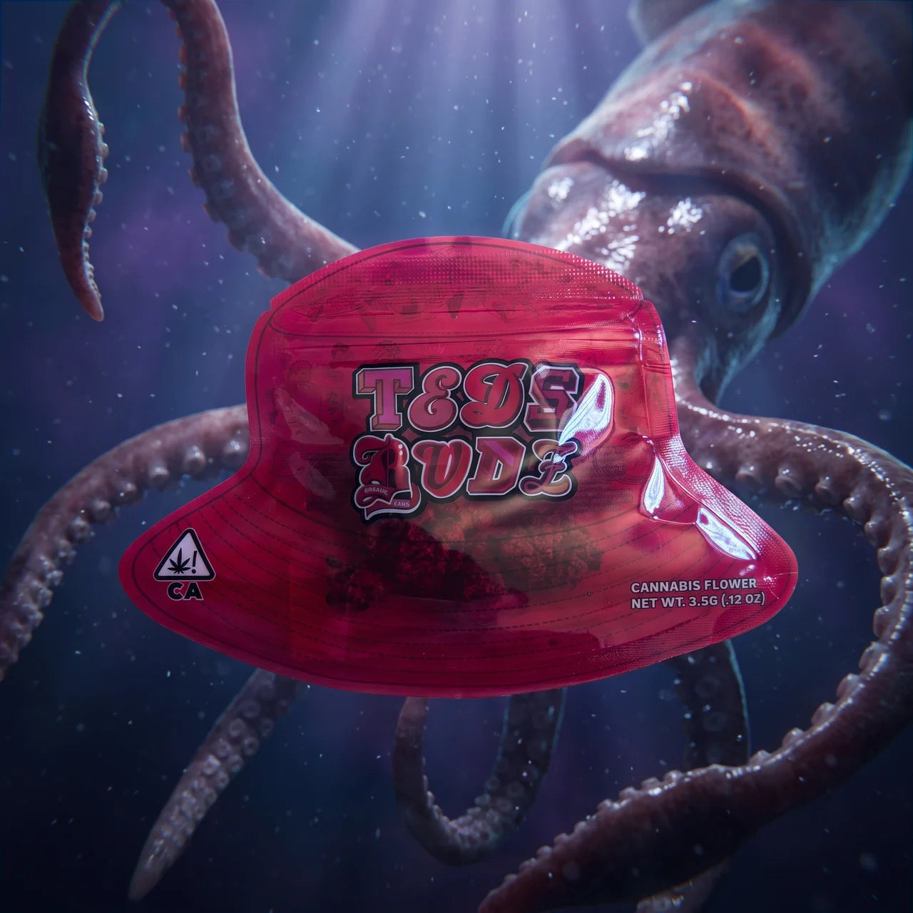 BIG SQUID