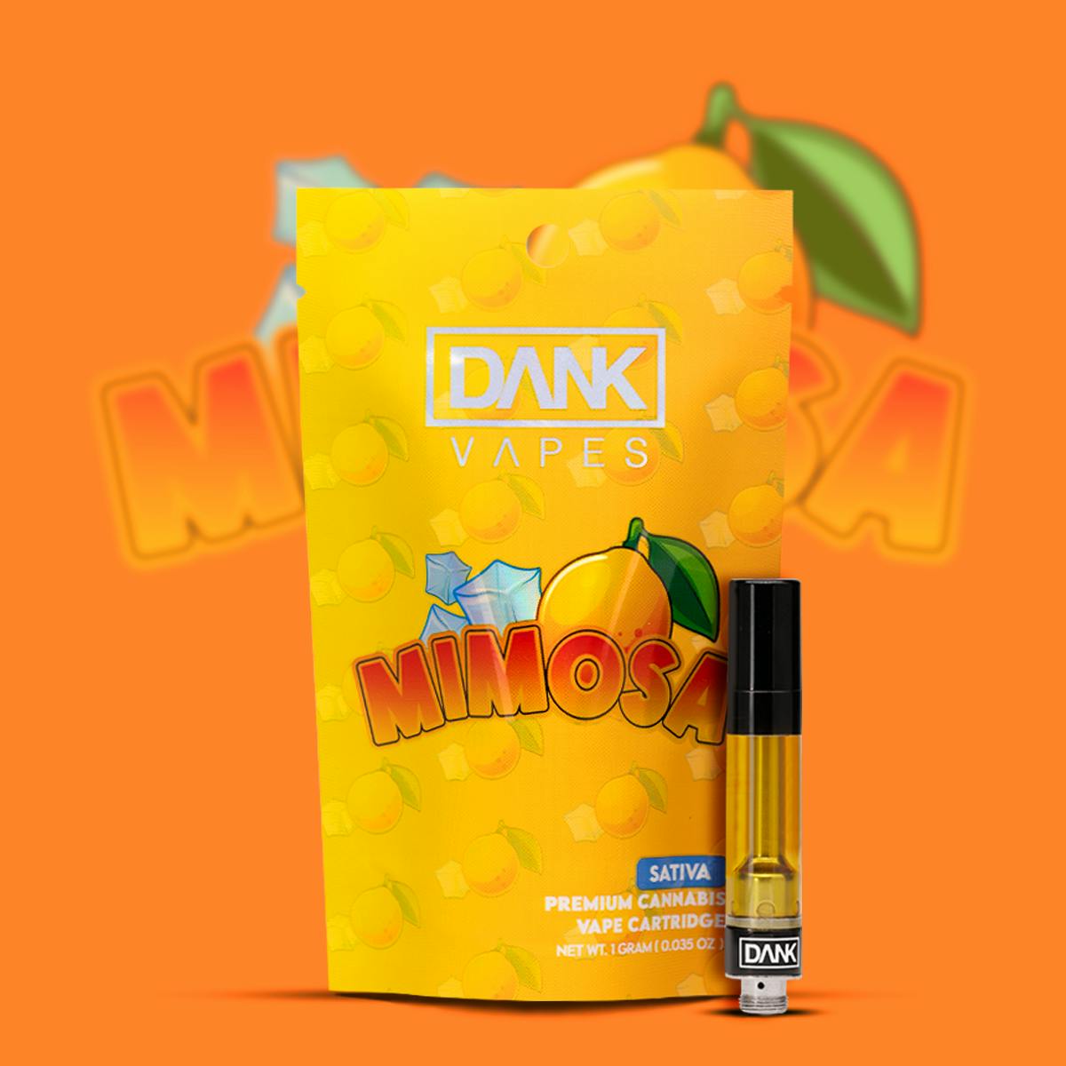 Mimosa