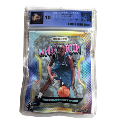 Lamar Odom ROOKIE