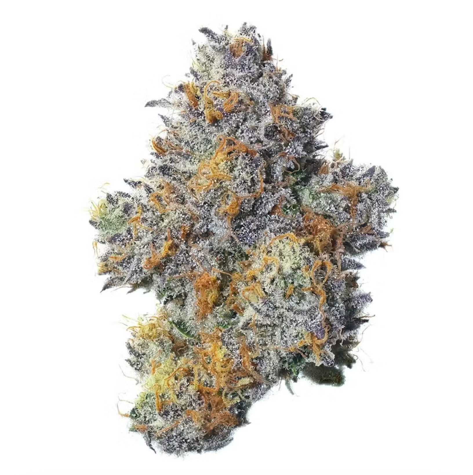 Lemon Cherry Gelato