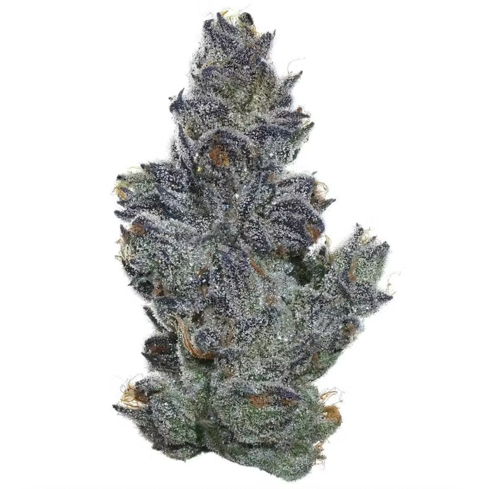 Sour Cherry Pie